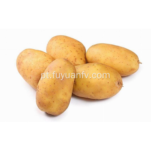 Batatas frescas de boa qualidade